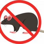 Rat control