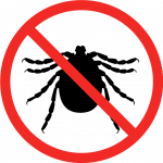 Bed Bugs Control